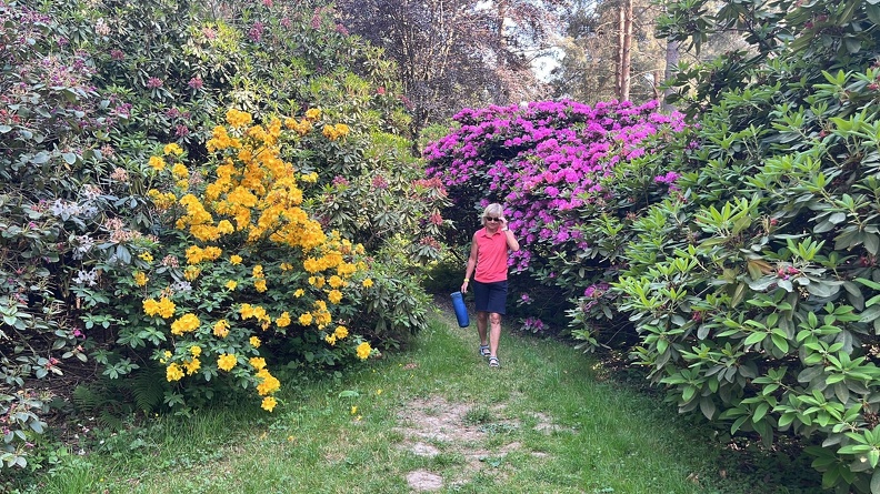 23-06-03 17-11-49 5819.jpeg